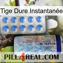 Tige Dure Instantanée 39
